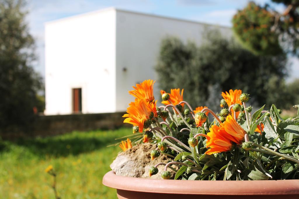Masseria Marico Castellaneta Cameră foto